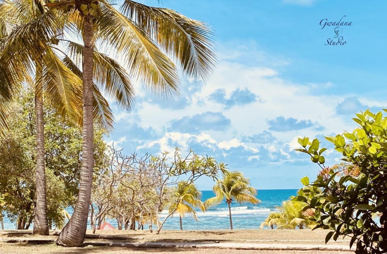 Acces Direct Plage, Vue Mer D'Exception, Les Gwada Studios, Village Vacances Sainte-Anne  Exterior foto